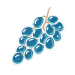 Grapes