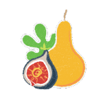 Tree/Orchard Fruit