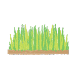Turf